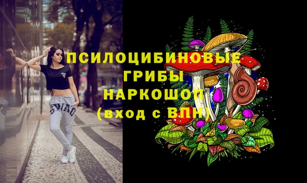 ПСИЛОЦИБИНОВЫЕ ГРИБЫ Горнозаводск