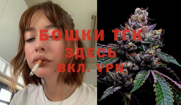 ПСИЛОЦИБИНОВЫЕ ГРИБЫ Горнозаводск