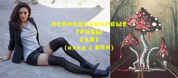 ПСИЛОЦИБИНОВЫЕ ГРИБЫ Горнозаводск