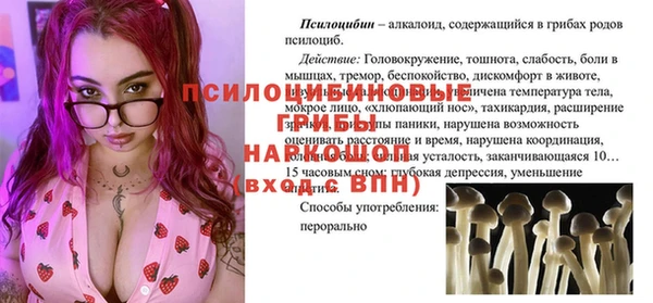 ПСИЛОЦИБИНОВЫЕ ГРИБЫ Горнозаводск