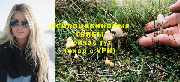 бутират Гусиноозёрск