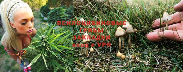 ПСИЛОЦИБИНОВЫЕ ГРИБЫ Горнозаводск