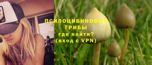 ПСИЛОЦИБИНОВЫЕ ГРИБЫ Горнозаводск
