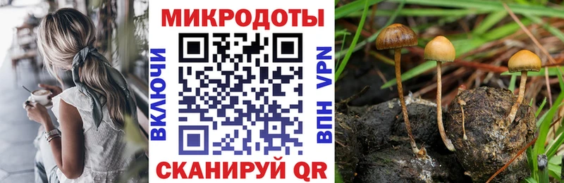 Псилоцибиновые грибы Cubensis Мурманск